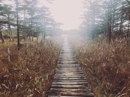 95B13CEE-7B8A-4C88-A7E9-23A21EAF909D.jpg