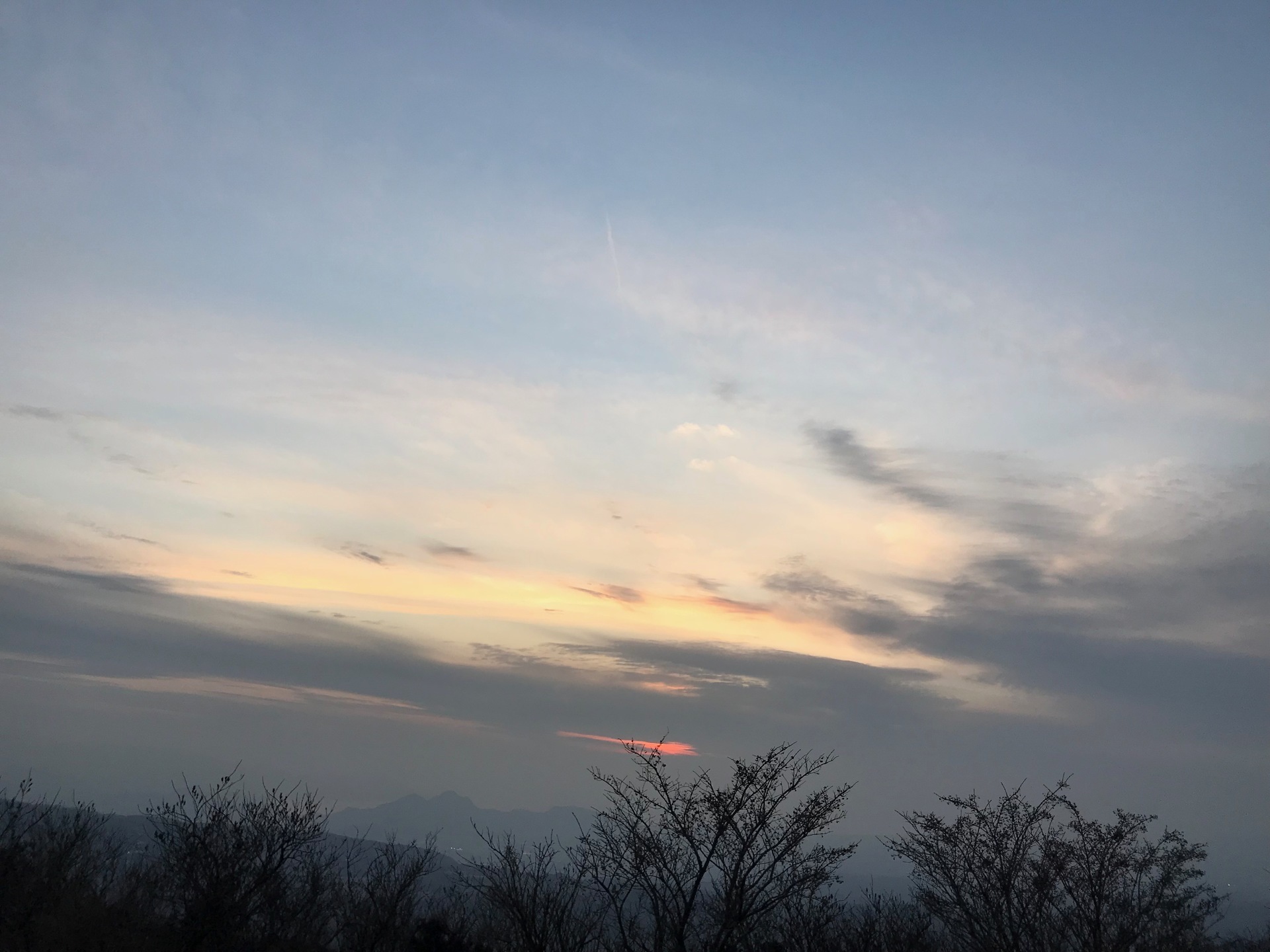 IMG_7868.jpg